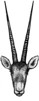 ADS50036.JPG