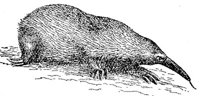 ADR50019.JPG