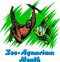 AFM00005.WMF