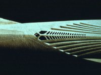 AFY50084.JPG