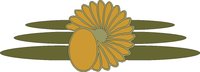 BORD604.WMF