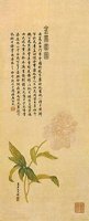 AHJ50918.JPG