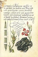AHJ50786.JPG