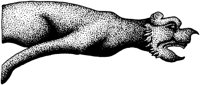 AHO50256.TIF