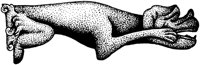 AHO50255.TIF