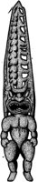 AHO50079.TIF