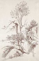 AHP50437.JPG