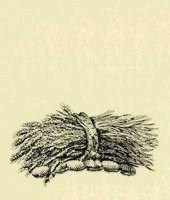 AHP50298.JPG