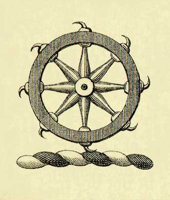 AHP50125.JPG