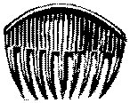 AJO50019.TIF
