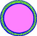 AKH00044.WMF