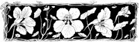 AKI50175.TIF