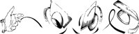 AKI00766.WMF