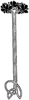 AKJ50199.TIF