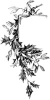 AKJ50181.TIF