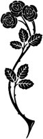 AKJ50157.TIF