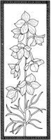AKJ50132.TIF