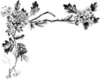 ALK50039.TIF