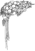 ALK50035.TIF