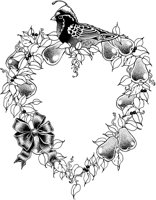 ALJ50010.TIF