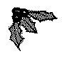 AKM50102.TIF