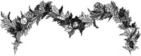 AKM50092.TIF