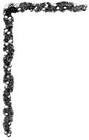 AKM50088.TIF
