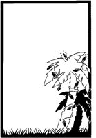 AKM50017.TIF