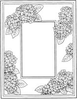 ALN50131.TIF