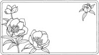 ALN50127.TIF