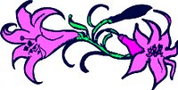 ALN01114.WMF