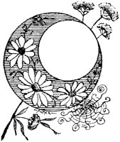 ALO50899.TIF