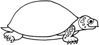 ALO50280.TIF