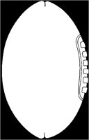 ALO50223.TIF