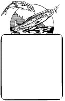 ALO50051.TIF