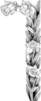 ALO50010.TIF