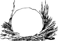 ALO00543.WMF