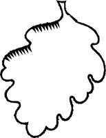 ALO00469.WMF