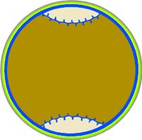 ALO00034.WMF