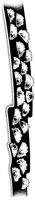 ALP50013.TIF