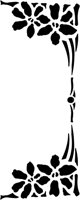 ALQ50529.TIF