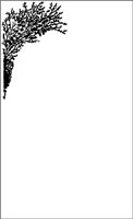 ALQ00806.WMF