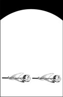 ALQ00252.WMF