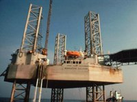 ANI50012.JPG