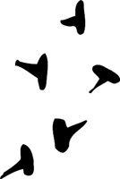 APA00013.WMF