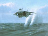 TOMCAT.GIF