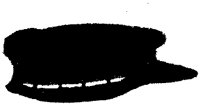 ASD50084.TIF
