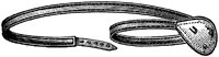 ARZ50060.TIF
