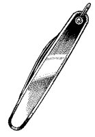 ATN50011.TIF