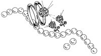 ATI50001.TIF